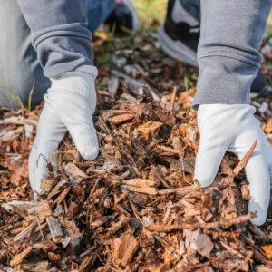 garden-work-mulching-plants